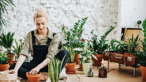 What are The Psychological Benefits of plants