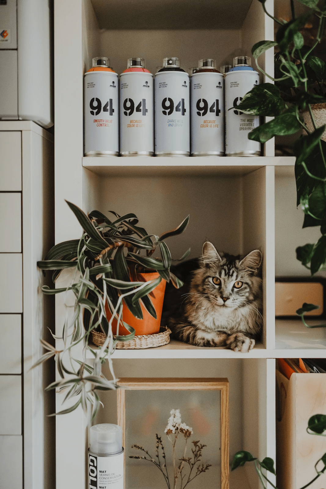 How to Keep Your Pets Away from Your Indoor Plants