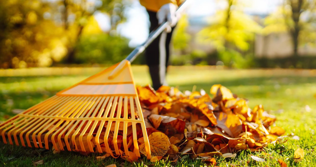 Fall Garden Care Tips