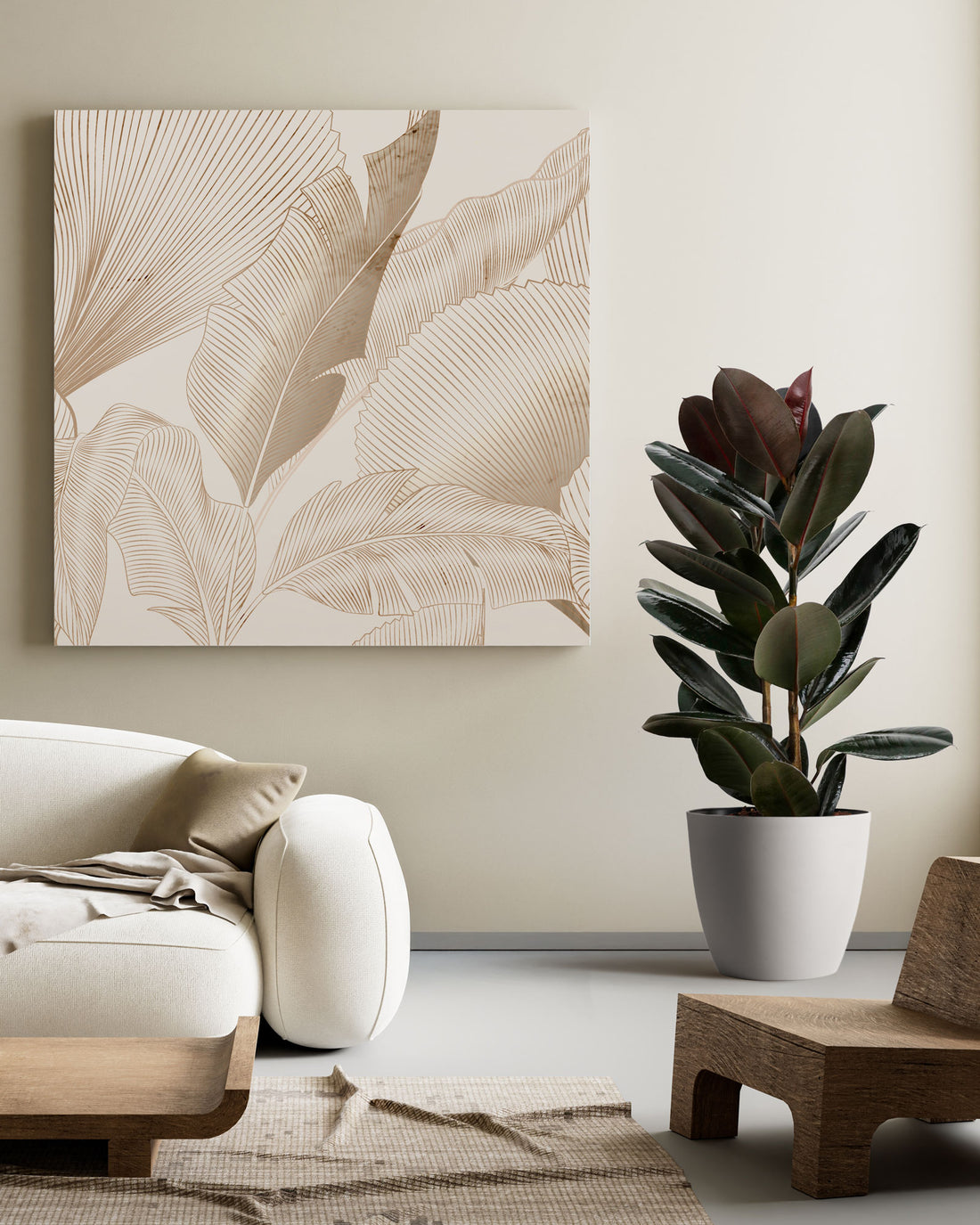 Ficus Burgundy Bush, Rubber Tree