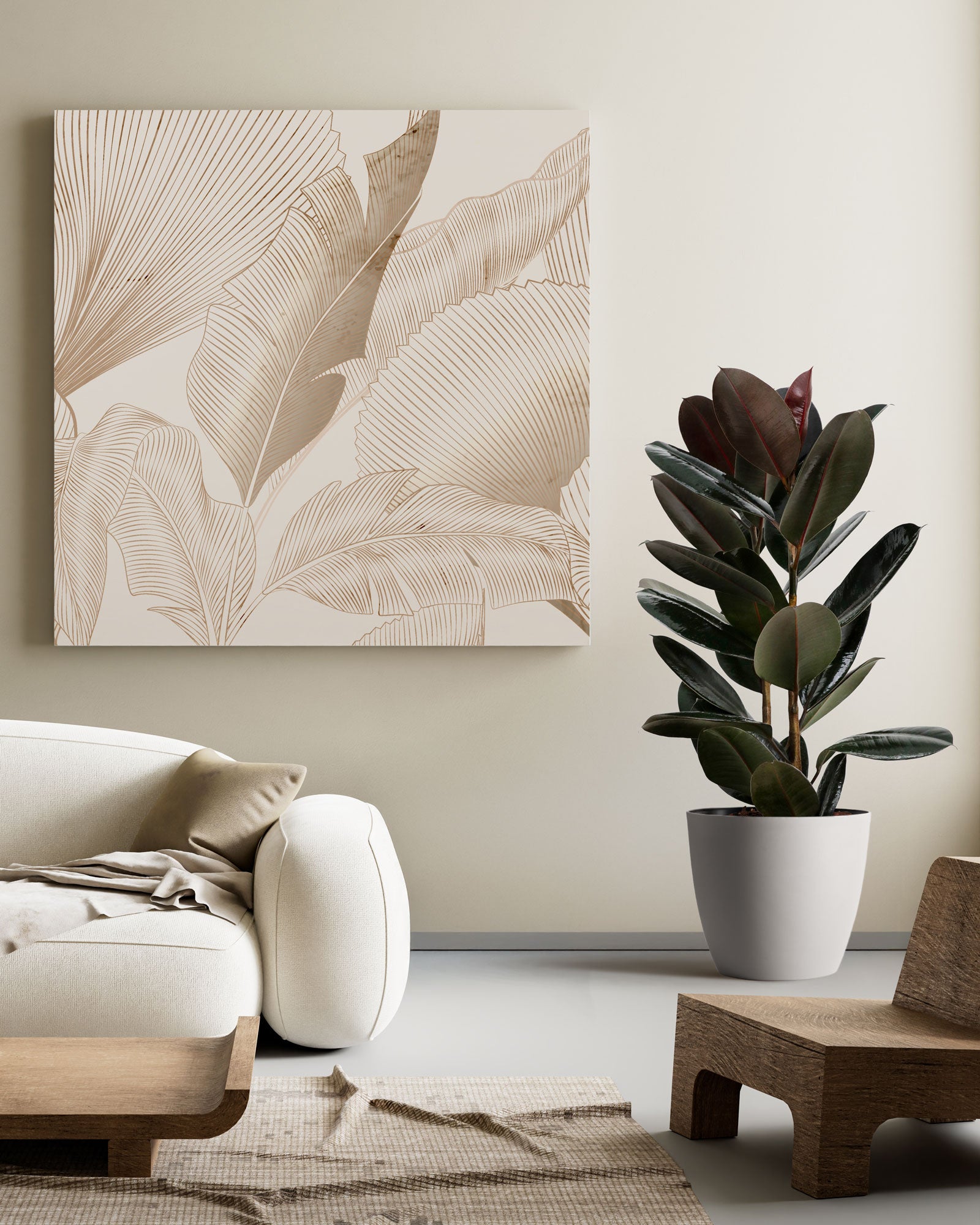 Ficus Burgundy Bush, Rubber Tree