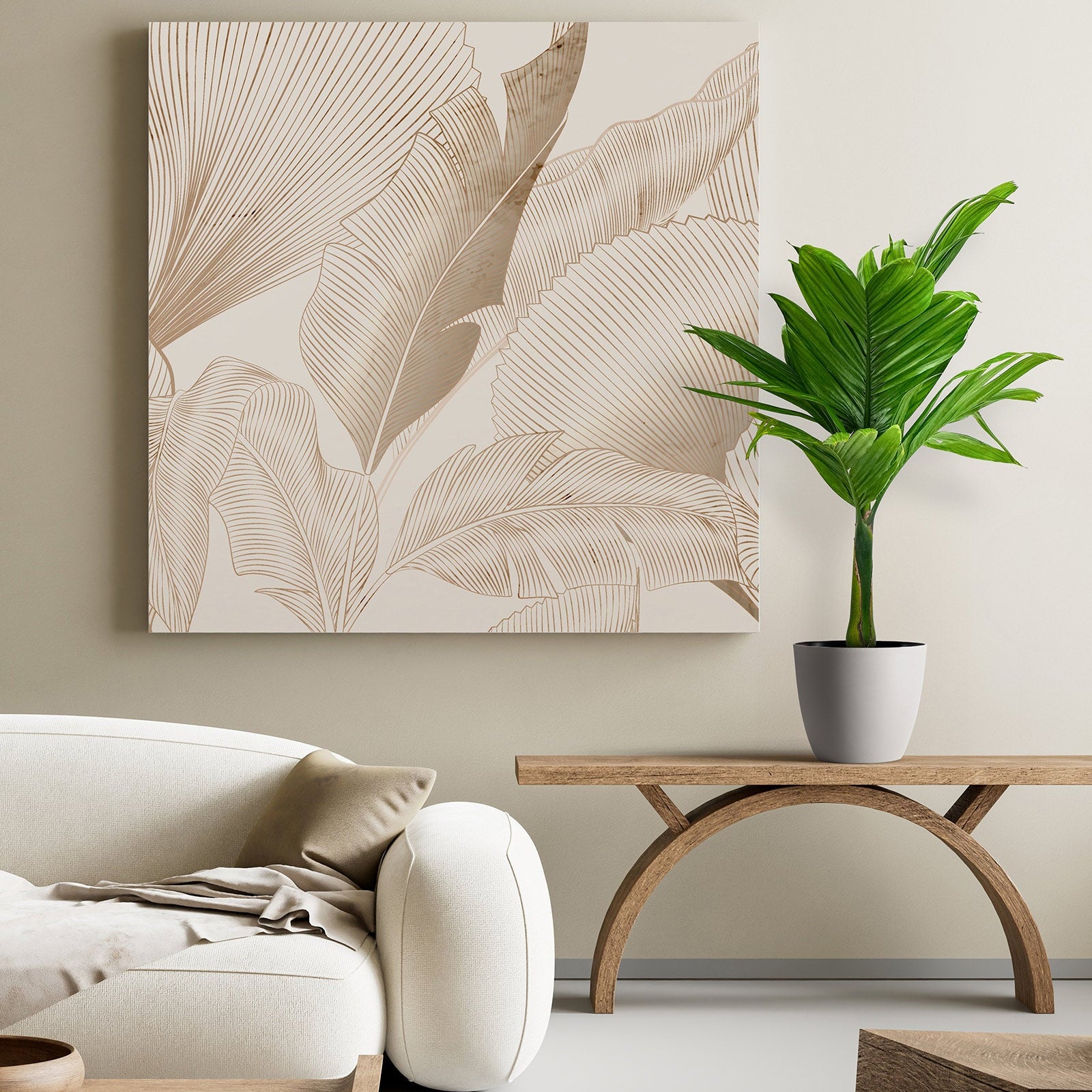 Areca Catechu &