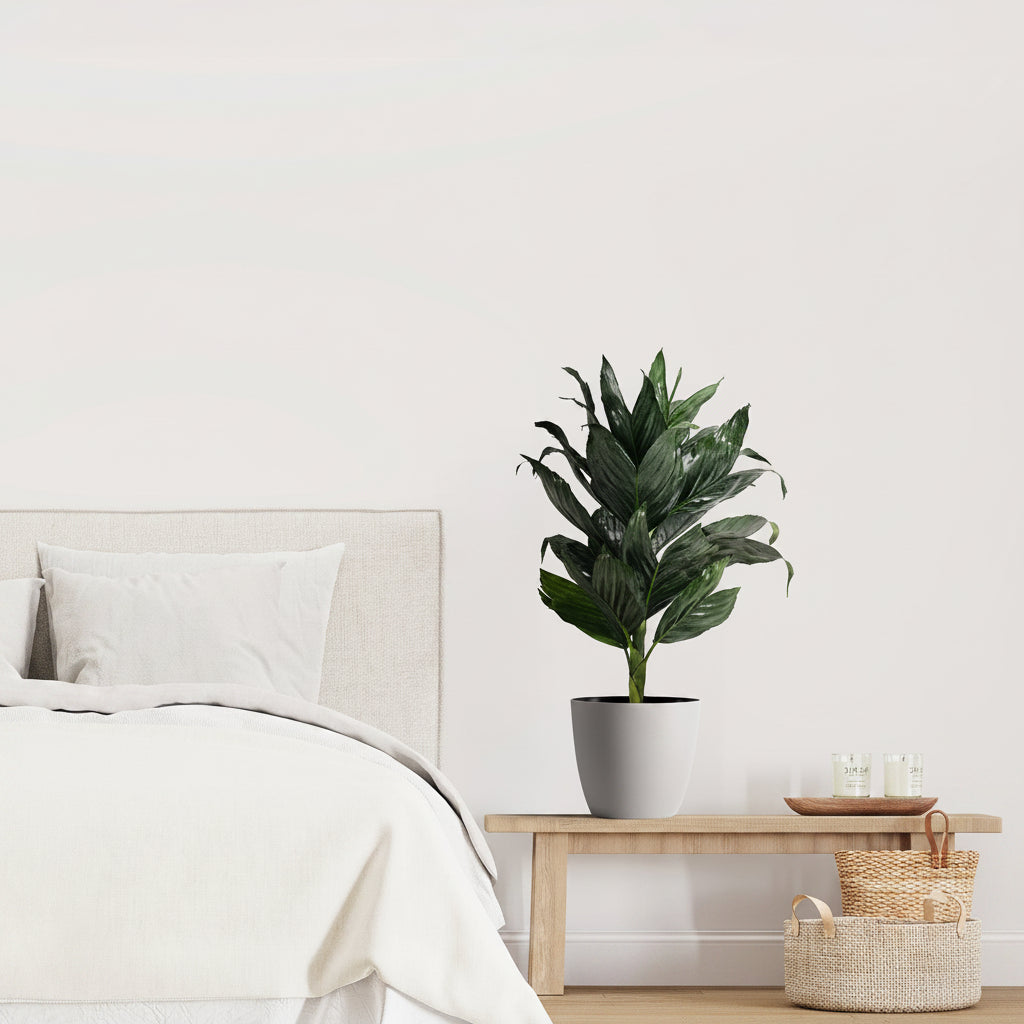 palm metalica Bedroom with a plant on a side table