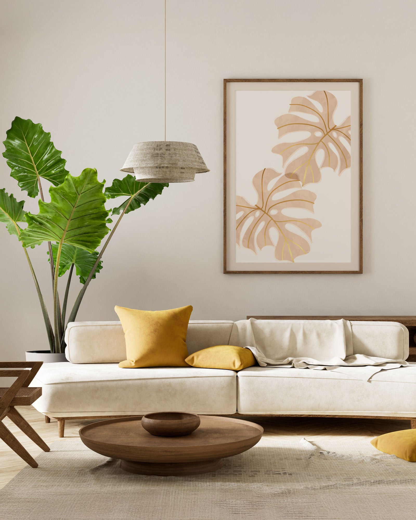 Alocasia Portora, Elephant Ears, Live Tropical Plant