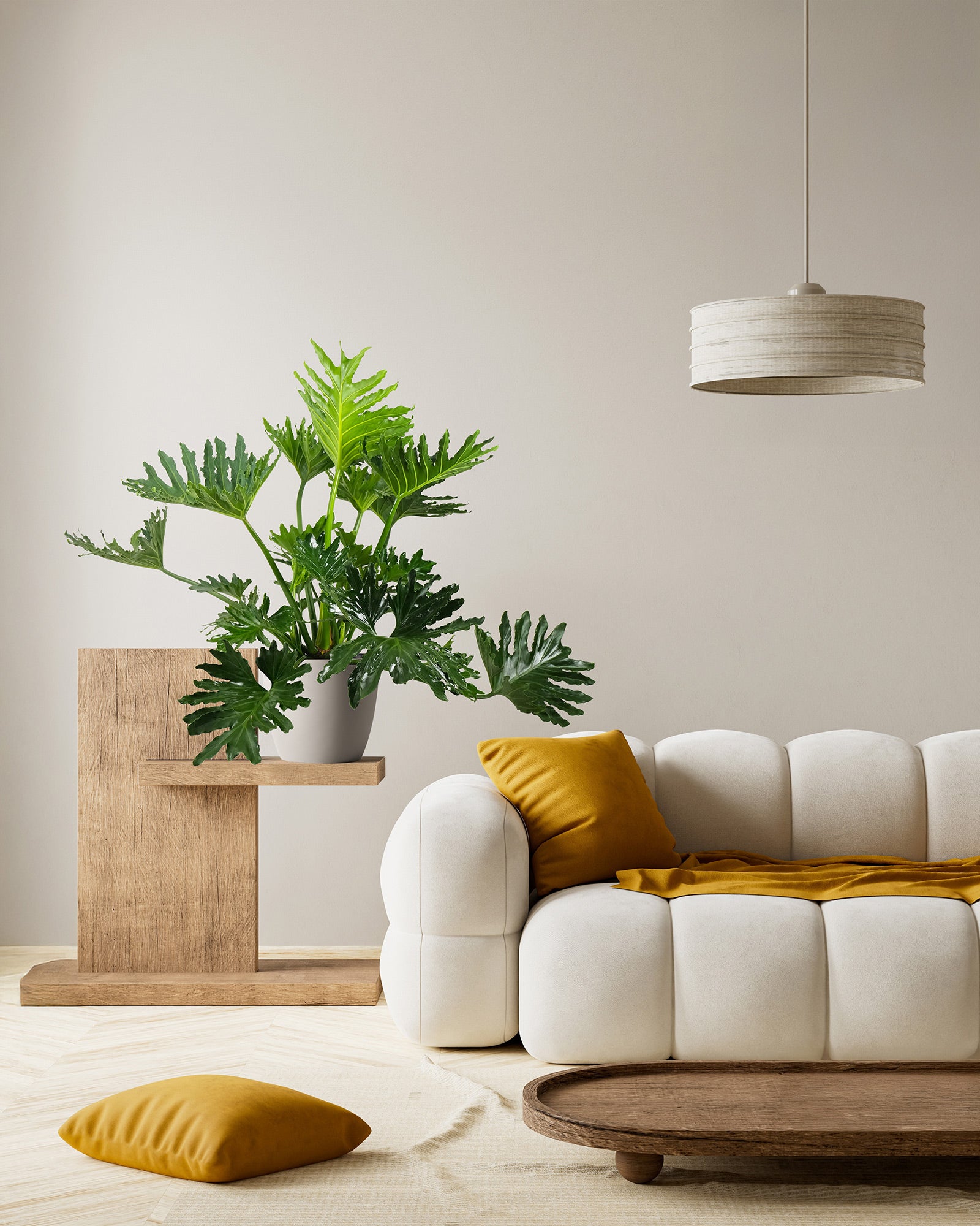 ikea split leaf philodendron Buy Philodendron Split Leaf Skeleton Key