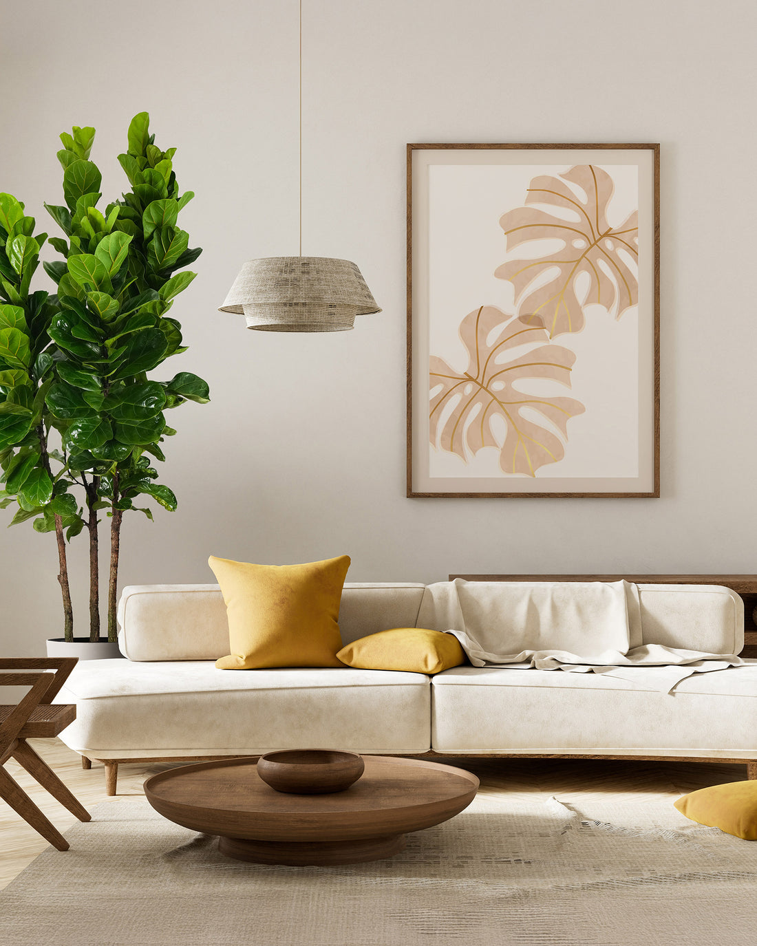 Ficus Bambino Tree Form Multi, Fiddle Leaf Fig Tree