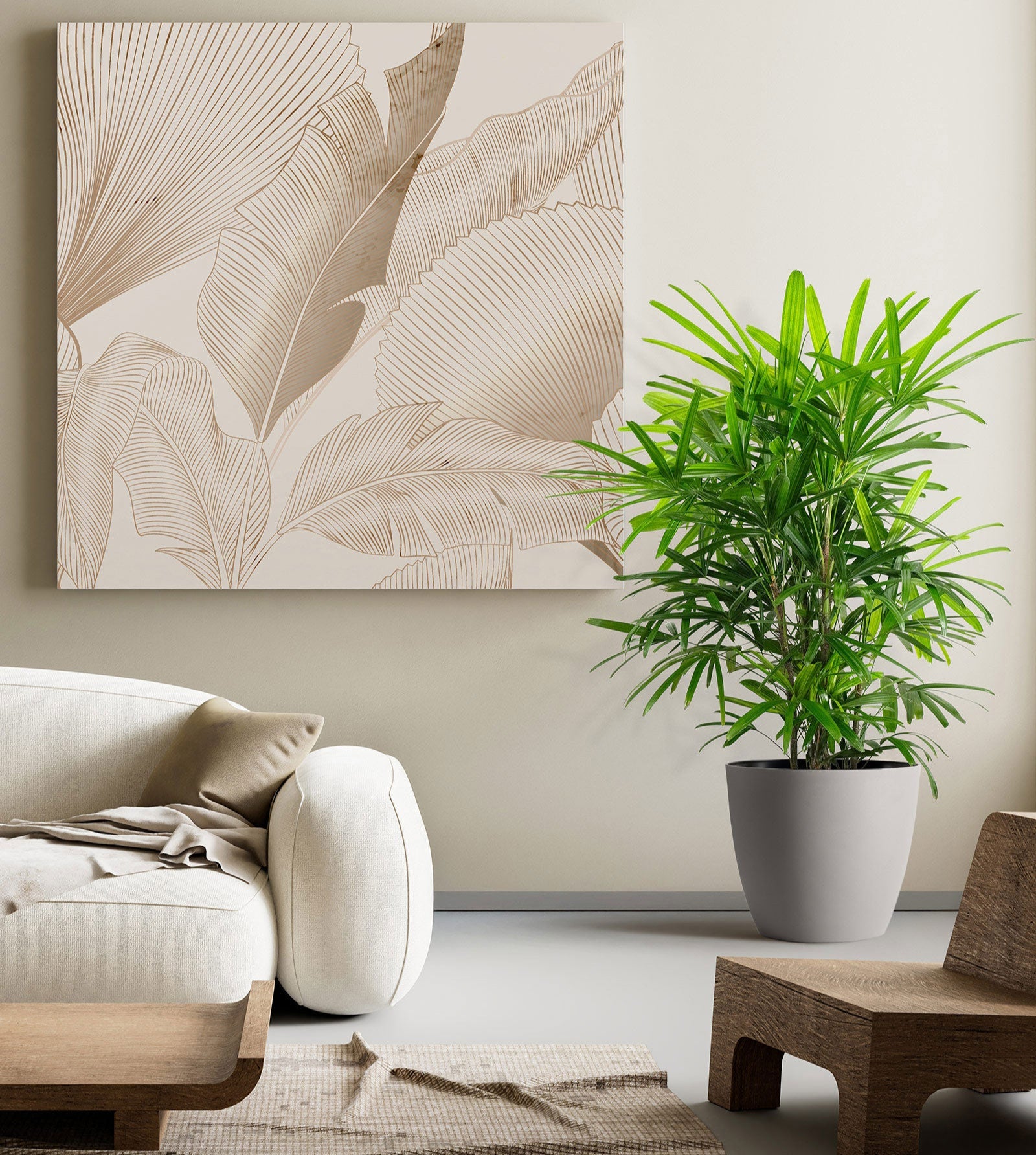 Lady Palm, Rhapis Excelsa, Indoor Queen Palm