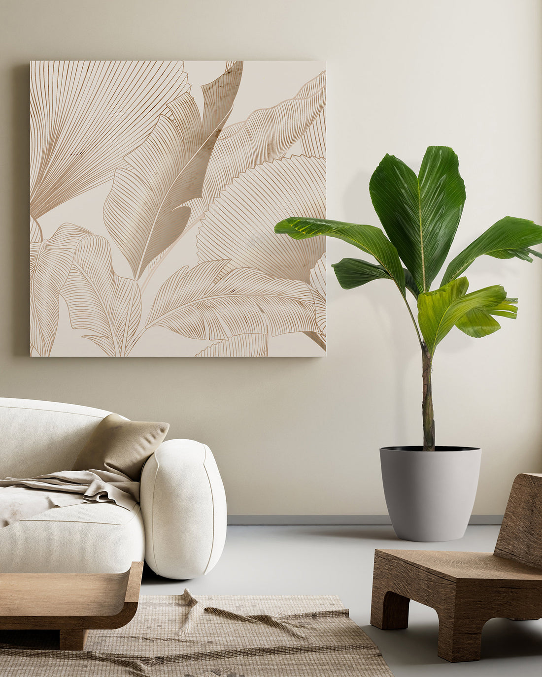 Latanier Obi Island Thief Palm Tree, Rare and Exotic