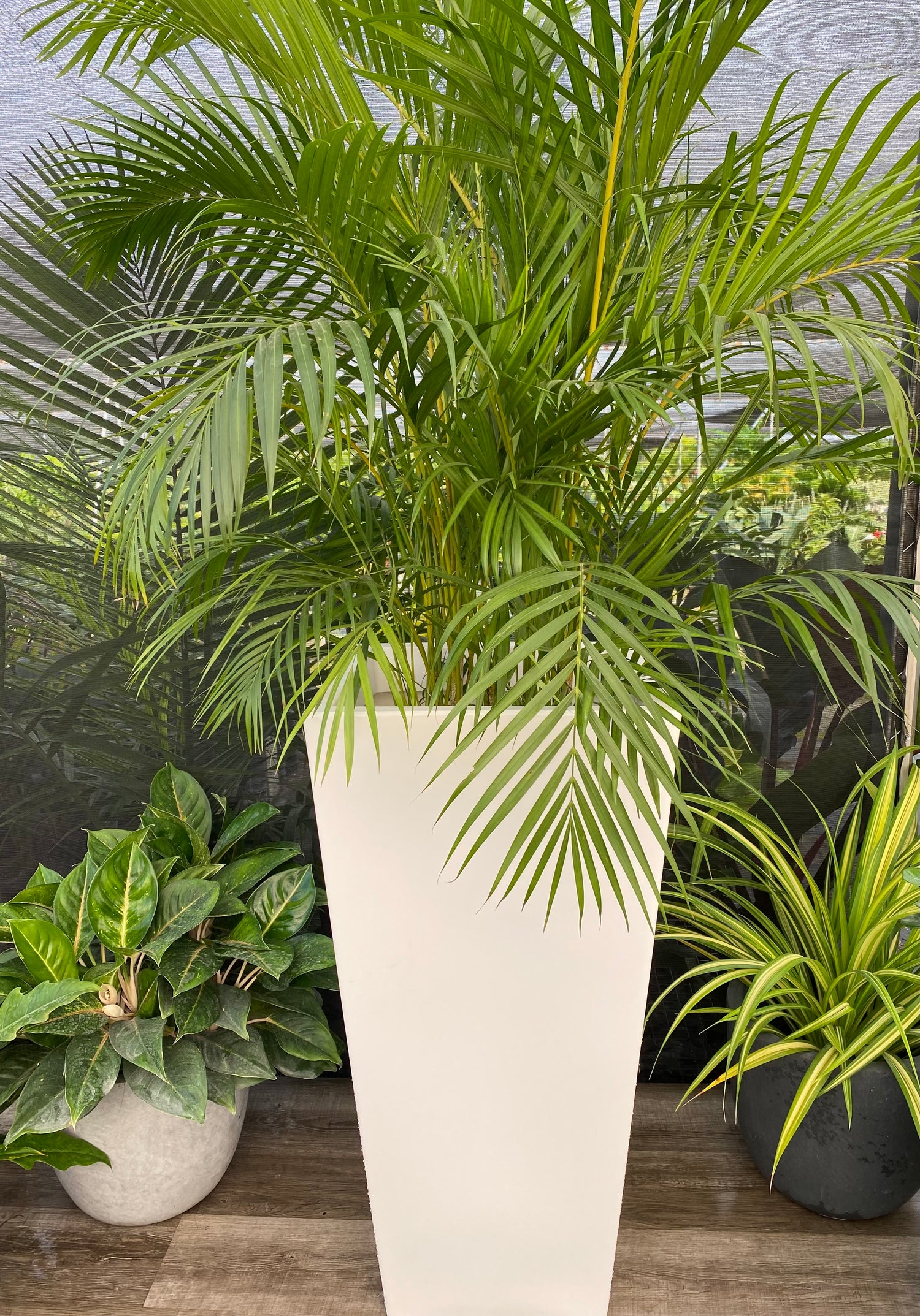 Tall Modern Planter Pot, Tapered Square Design