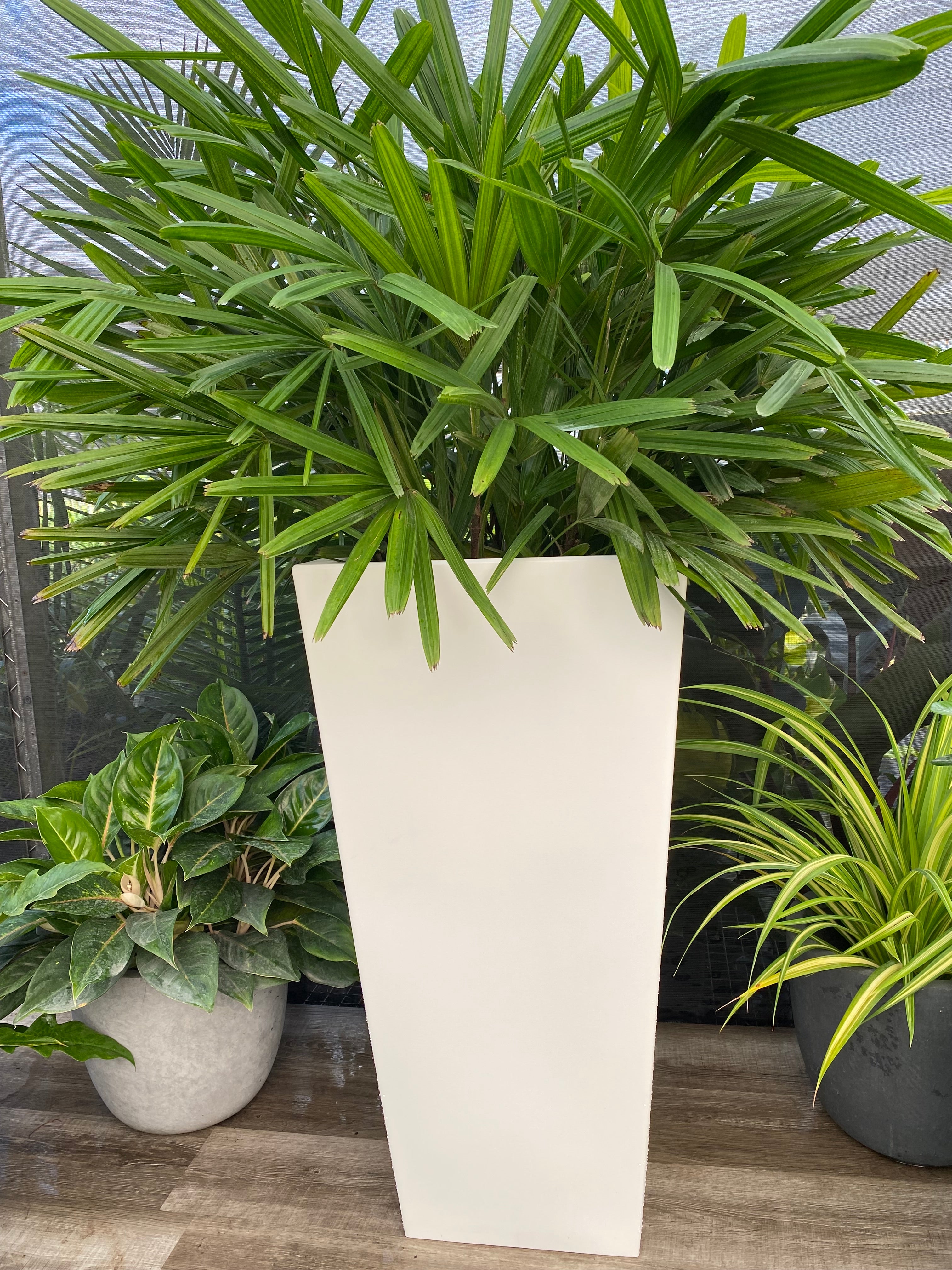 Tall Modern Planter Pot, Tapered Square Design