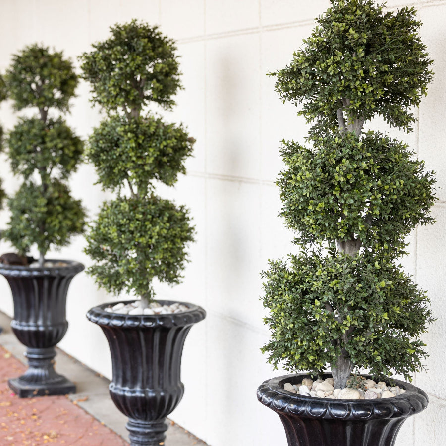 Topiary Eugenia 3-Ball Tree Form nursery container 5gal. dropped in deco stone container.
