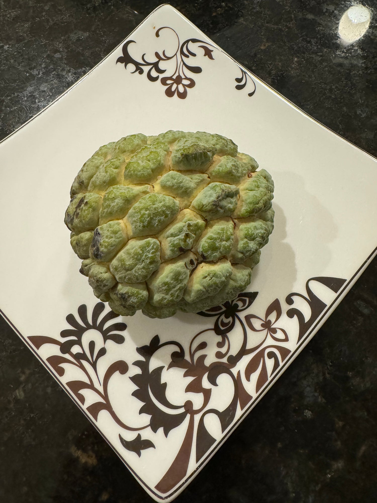 Sugar Apple Fruit Tree, Sweetsop Tree