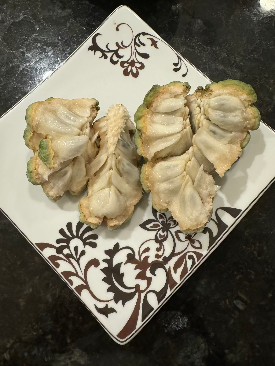 Harvested Sugar Apple fruit on a patterned plate