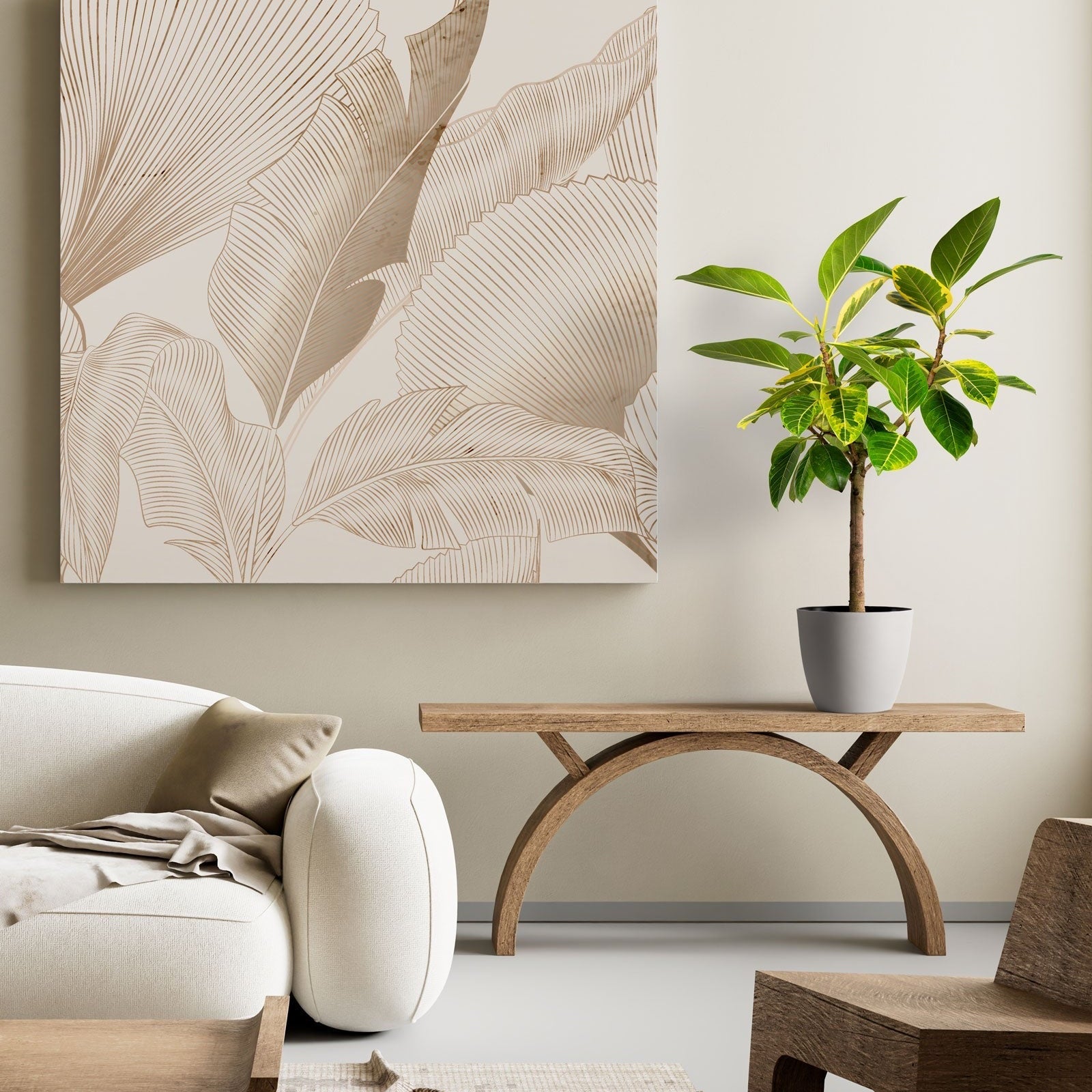 Ficus Yellow Gem modern living room with a white sofa, wooden coffee table, and decorative plant.