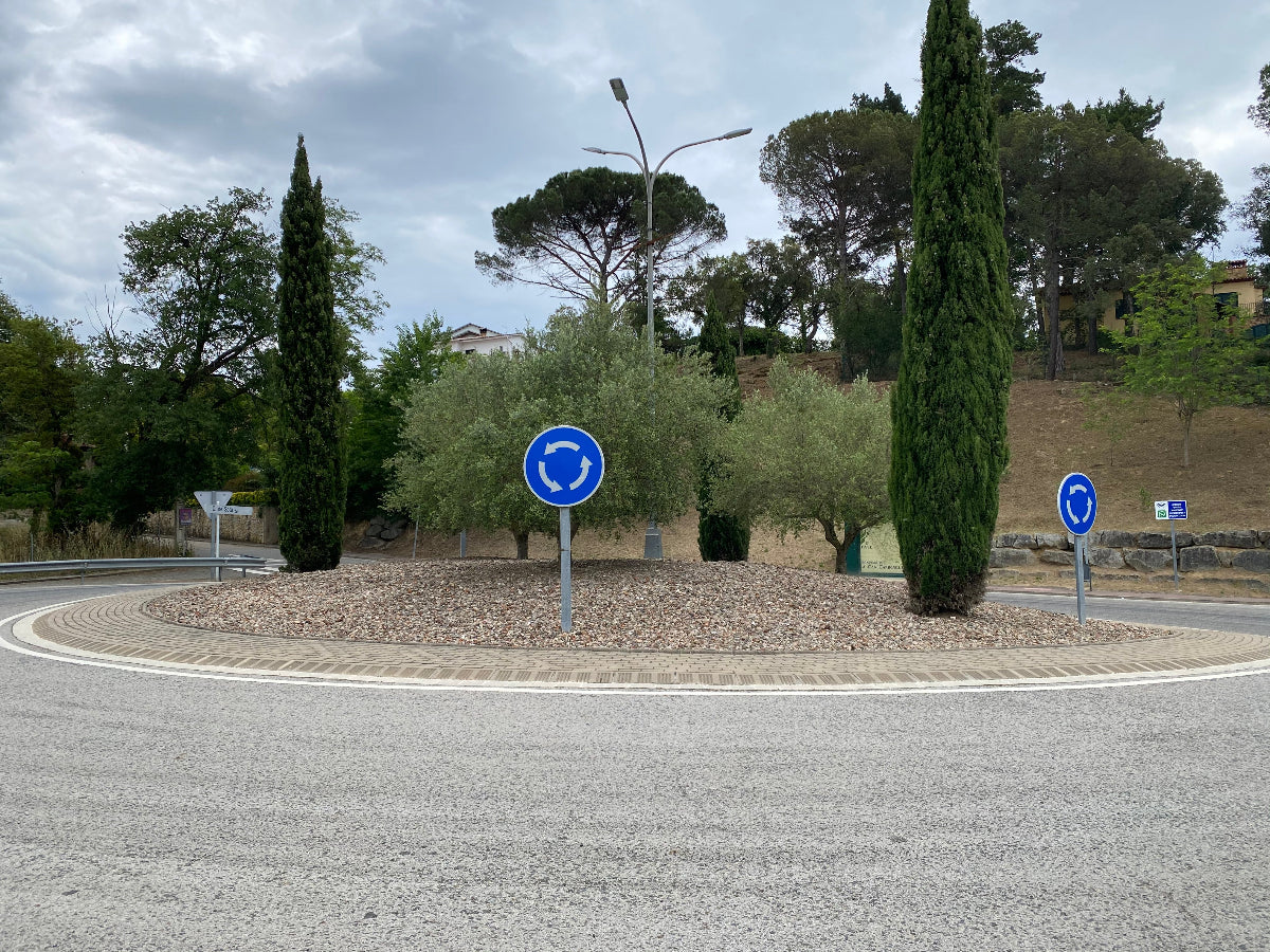 A landscape view featuring tall, narrow, columnar Taylor Juniper Trees (Eastern Red Cedar) planted in the gravel center of a traffic roundabout