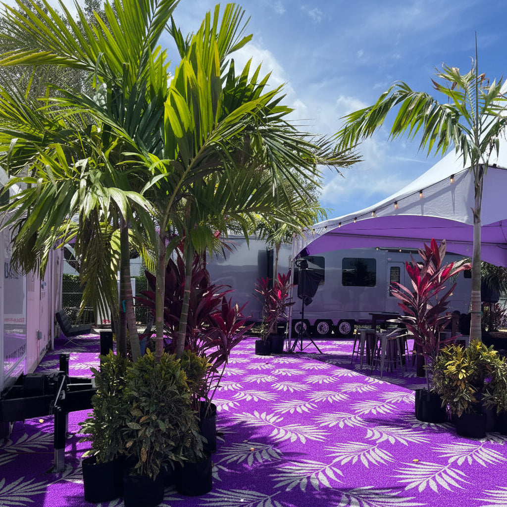 Outdoor event space with potted tropical plants.