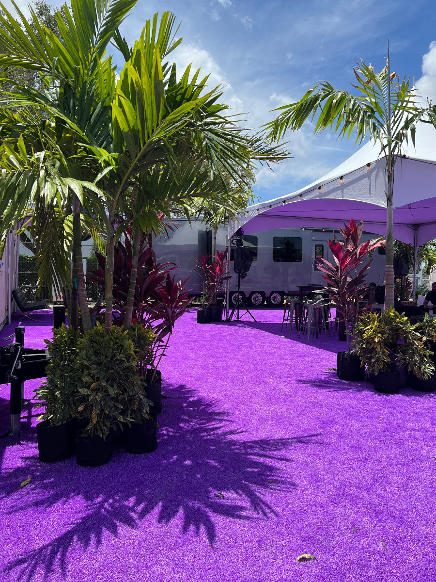 Outdoor event space with potted tropical plants