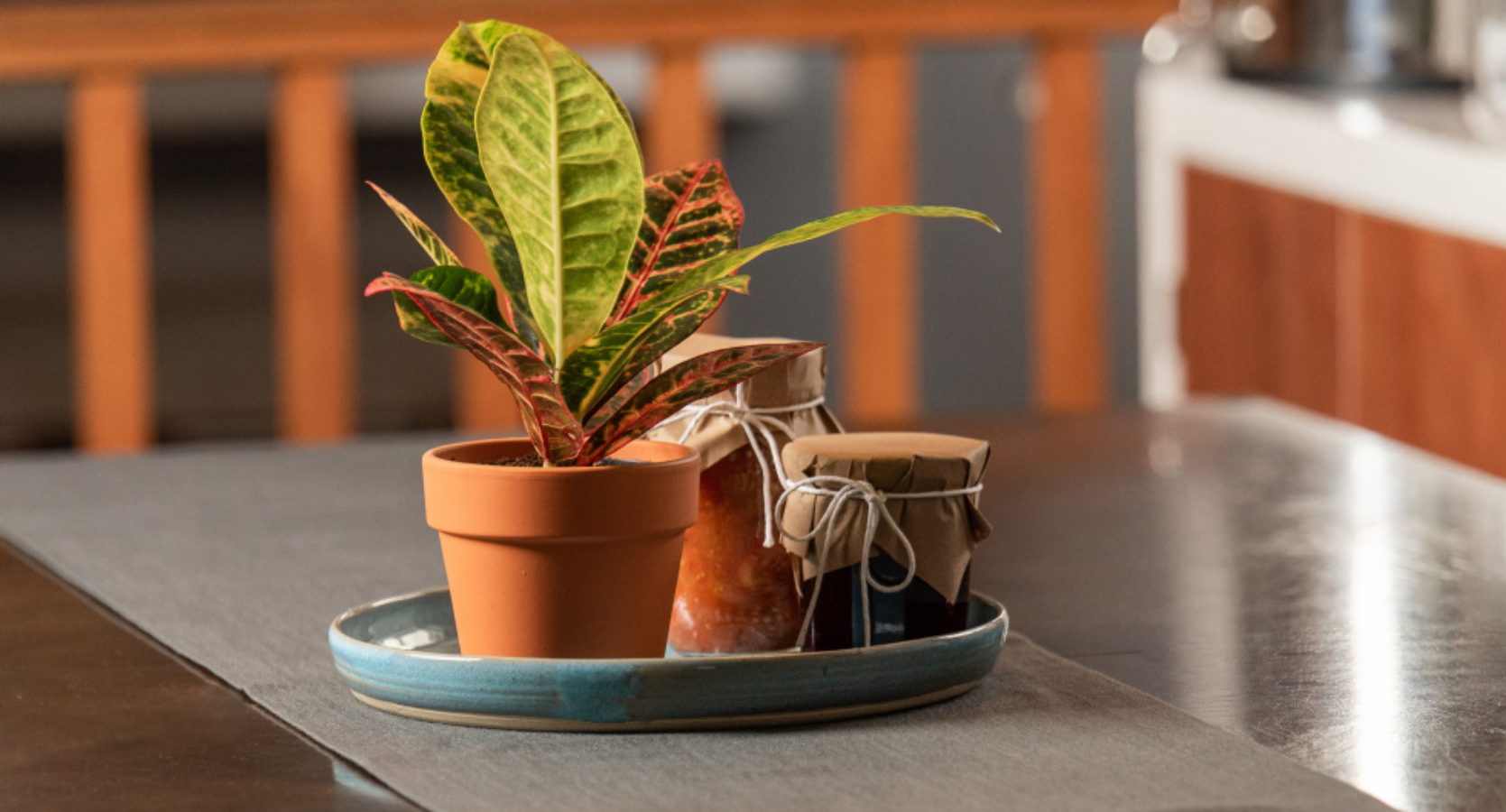 Indoor plant styling featuring a small colorful Croton houseplant in a terracotta planter next to rustic glass jars for kitchen countertop decor.