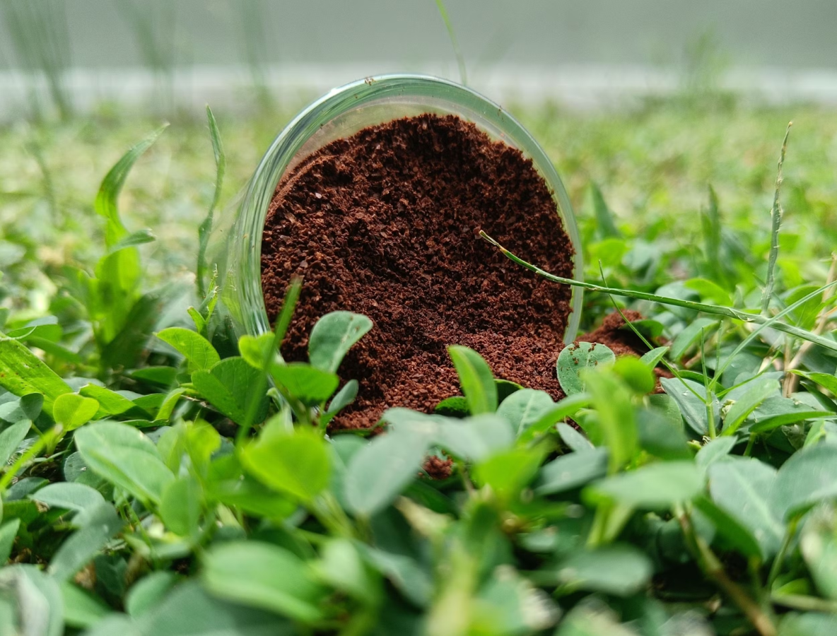 A clear container spilling dark brown coffee grounds or compost into green grass.