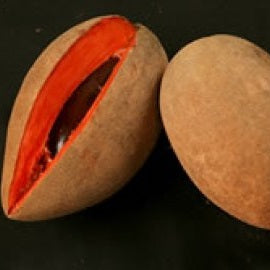 Magania Mamey Sapote Fruit