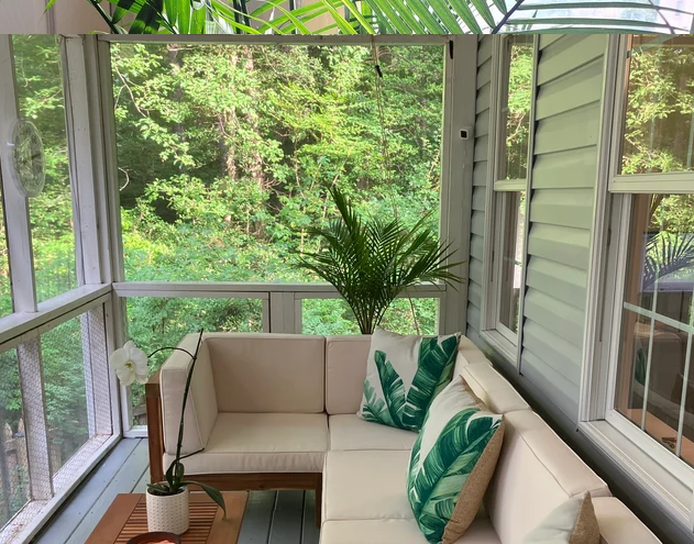 Majesty Palm, Ravenea Rivularis Live Indoor Plant
