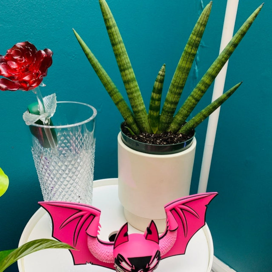 Potted Sansevieria Starfish snake plant decorated with a pink bat cutout and a red flower