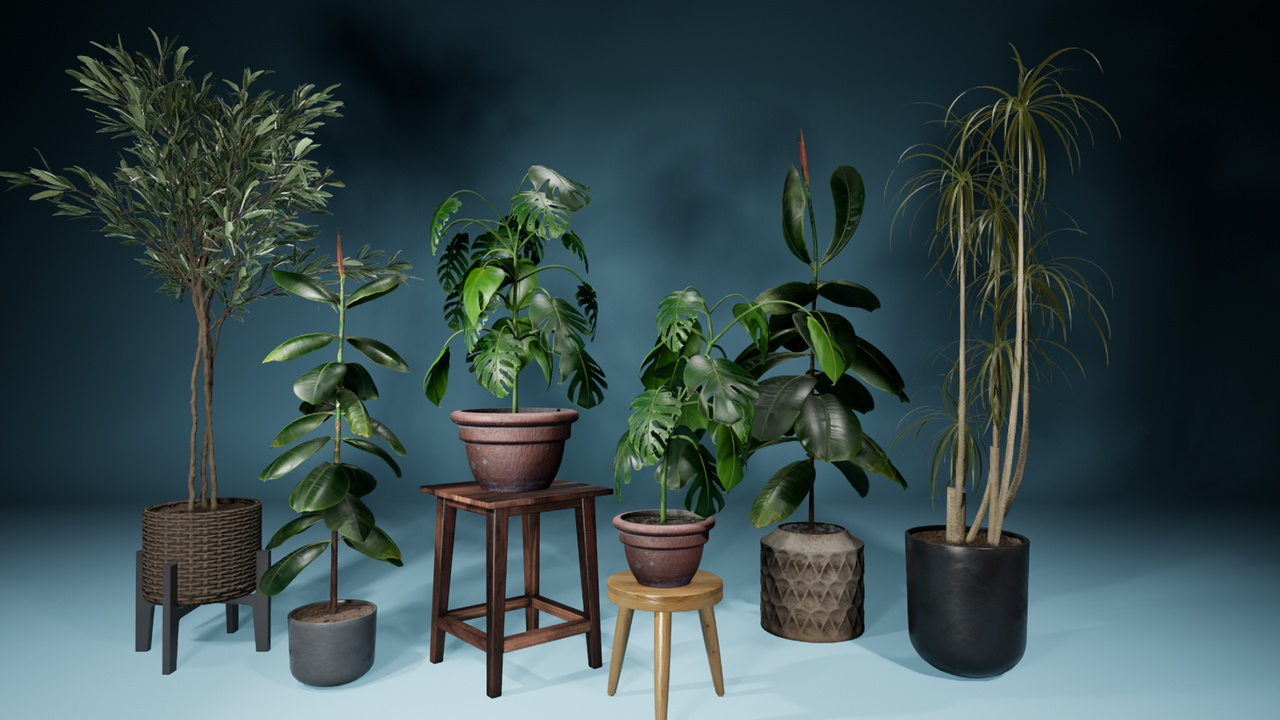Group of potted low-light houseplants arranged on stools and stands against a dark teal background