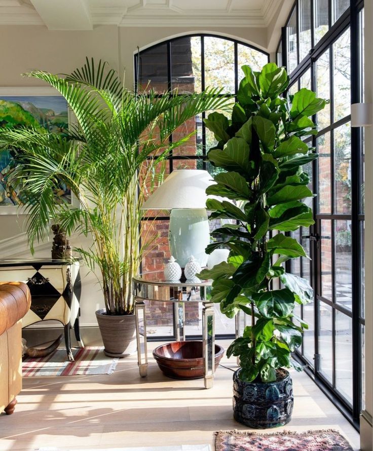 Why More Plants are Better than One