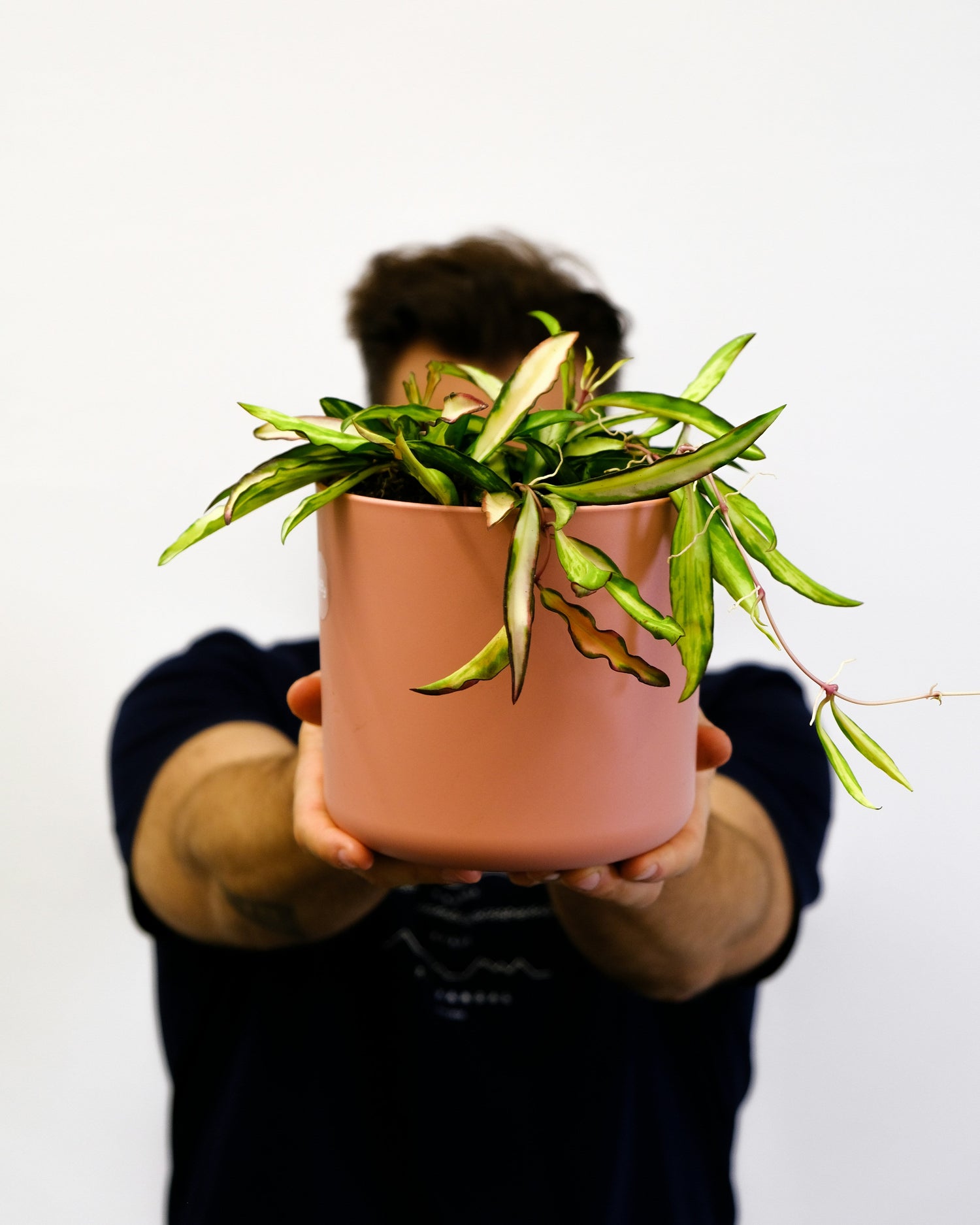 The Grow-How: Guide to Green Gifting