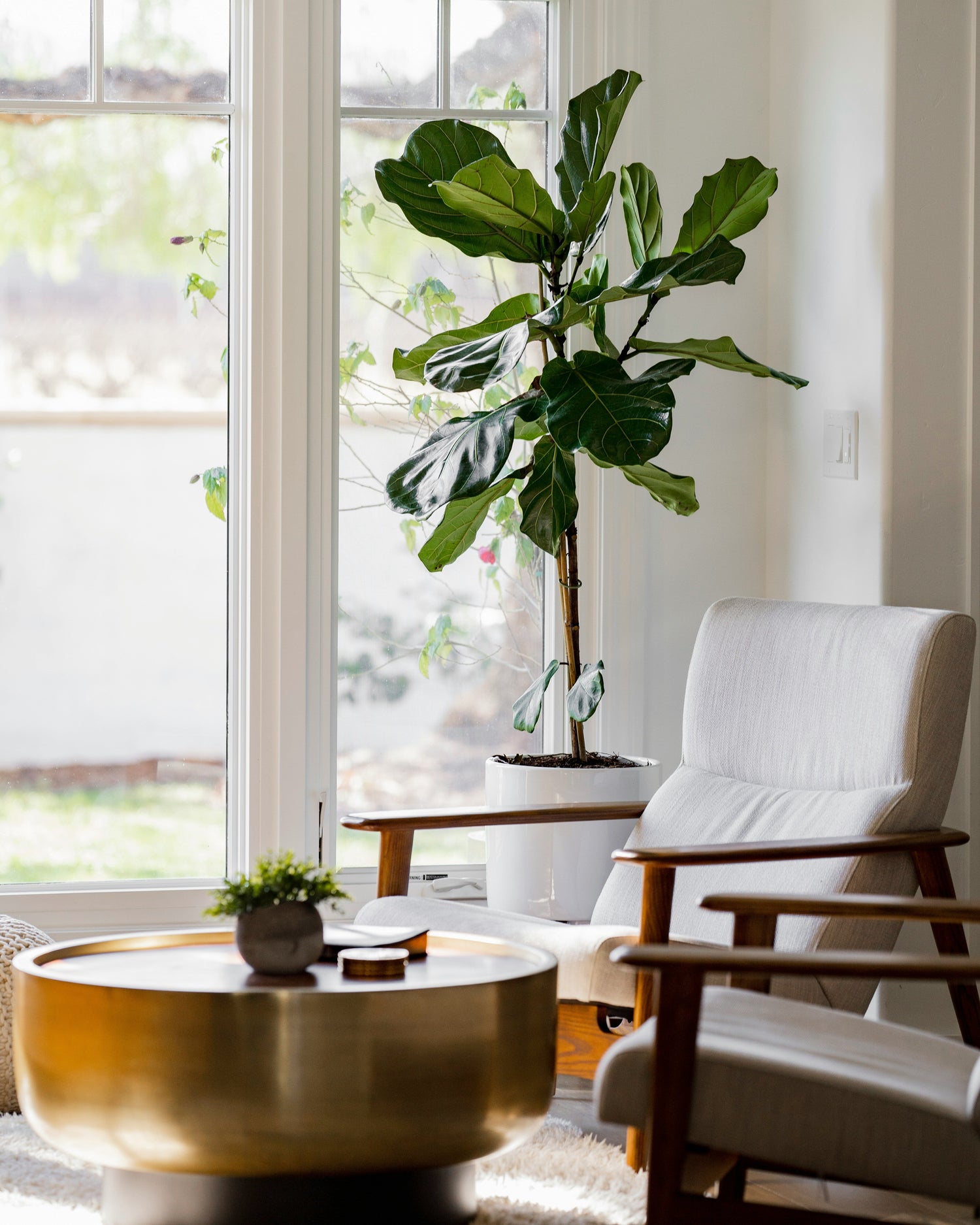 How To Care For Plants While You’re Away