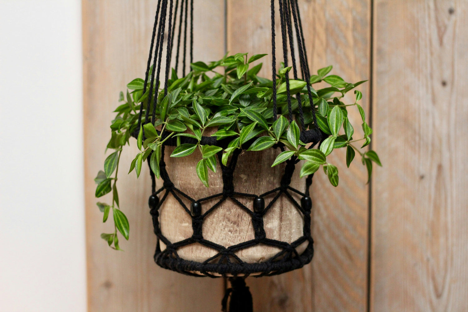 Upcycled Hanging Basket Planter