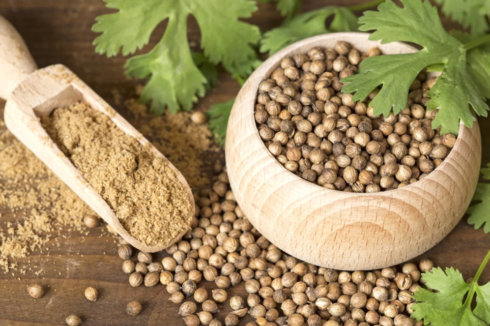 Surprising Benefits of Growing Medicinal Plants
