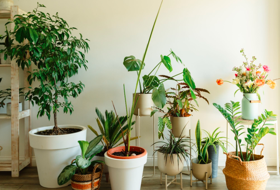 7 Indoor Gardening Supplies To Keep Plants Lush & Healthy