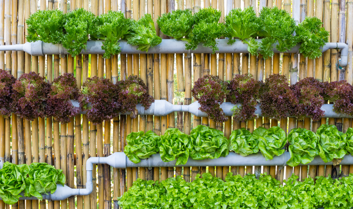 Ways to Make Your Garden EcoFriendly Eureka Farms