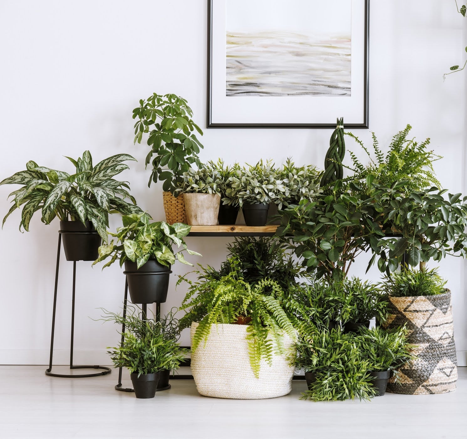 How to Help Indoor Plants Survive the Winter