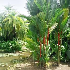 Bigger Plants Lower Prices