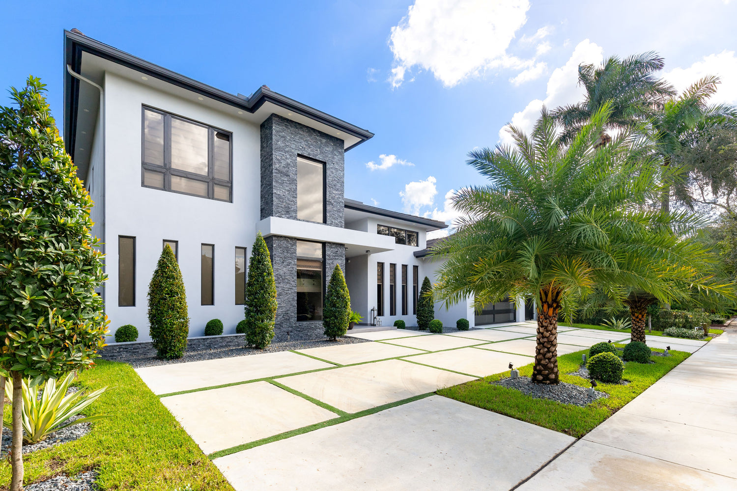 Most Popular Palms for Florida