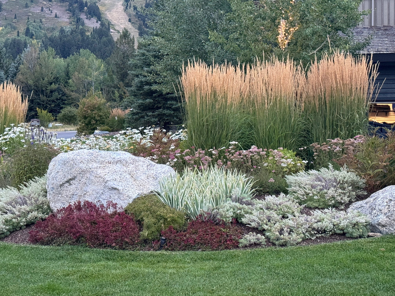 Landscaping with Ornamental Grasses