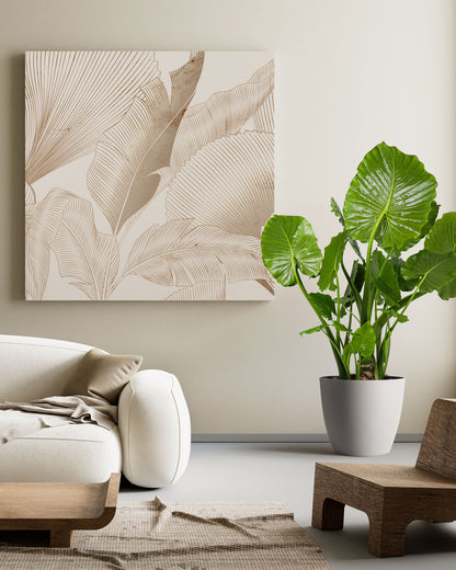 Alocasia California Odora, Elephant Ears