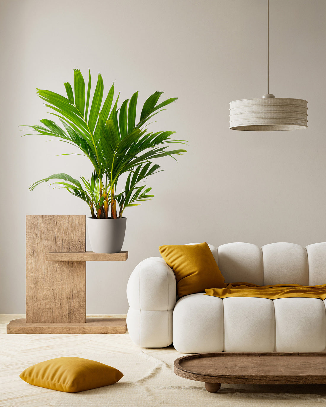 Areca Vestiaria, Orange Crownshaft Palm, Rare and Exotic