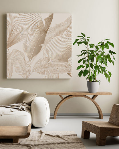 Schefflera Amate, Umbrella Tree