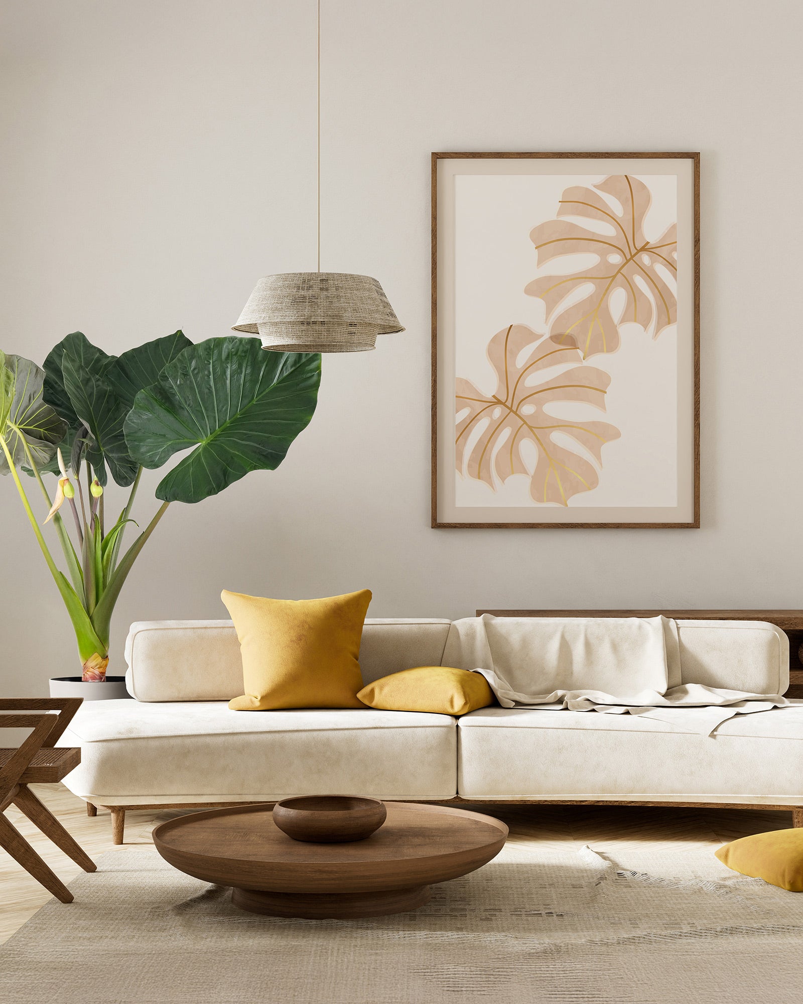 Alocasia Regal Shields, Elephant Ears Live Tropical Plant