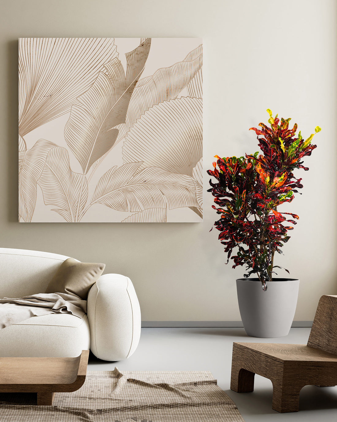 Croton Mammy Red, Mammey Live Tropical Plant Indoor or Outdoor