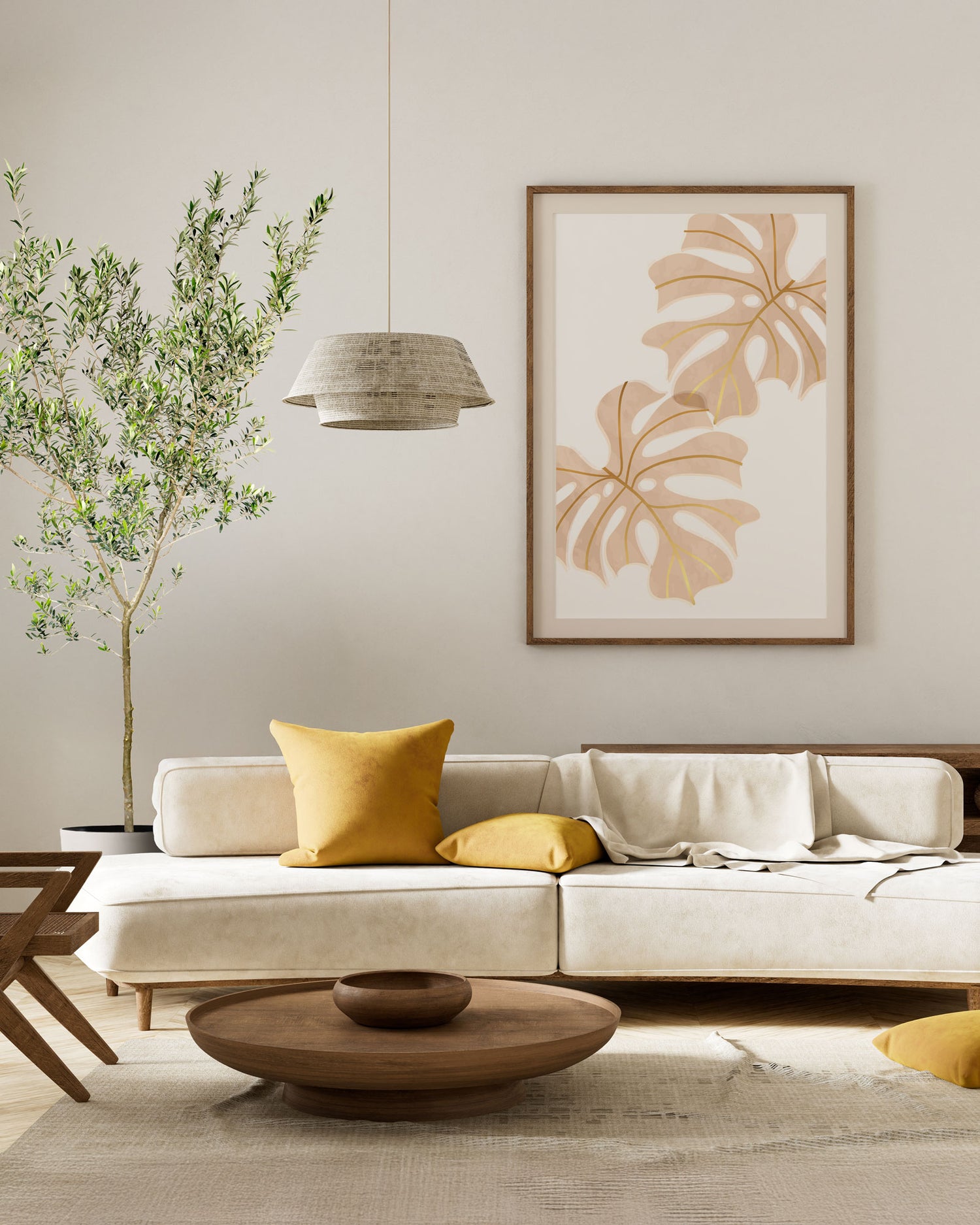 Greek Olive Tree Koroneiki, Olea European Olive