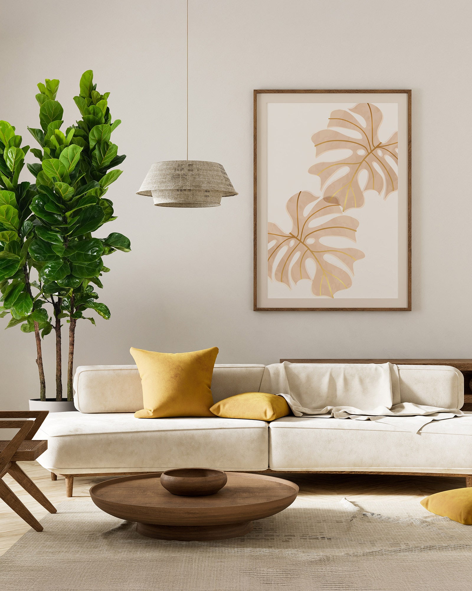 Ficus Bambino Tree Form Multi, Fiddle Leaf Fig Tree