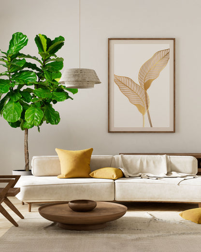 Ficus Lyrata Tree Form Single Stem, Fiddle Leaf Fig Tree