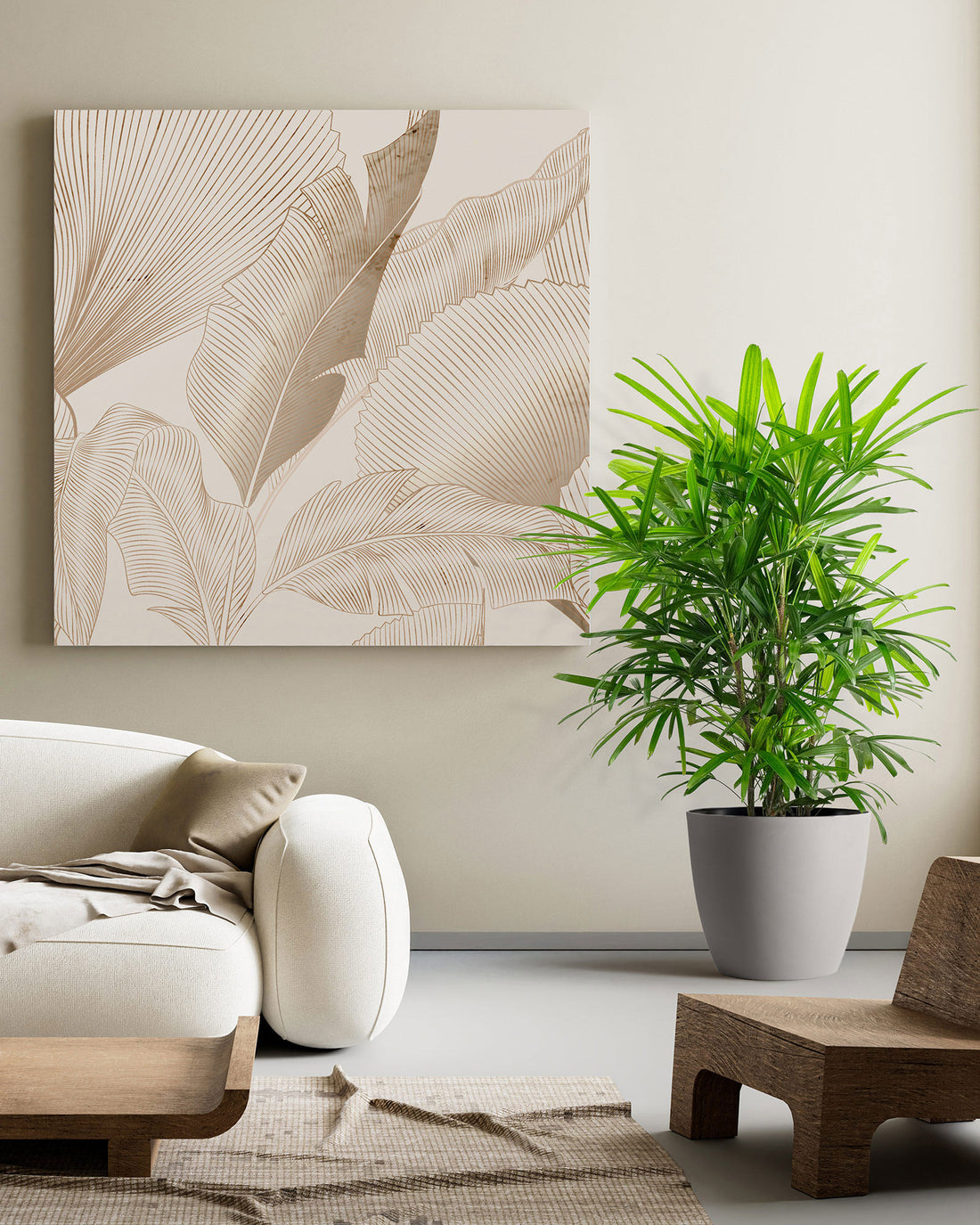 Lady Palm, Rhapis Excelsa, Indoor Queen Palm