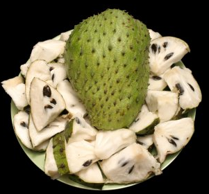 Soursop Guanabana Fruit Tree, Annona Muricata
