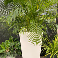 Tall Modern Planter Pot, Tapered Square Design