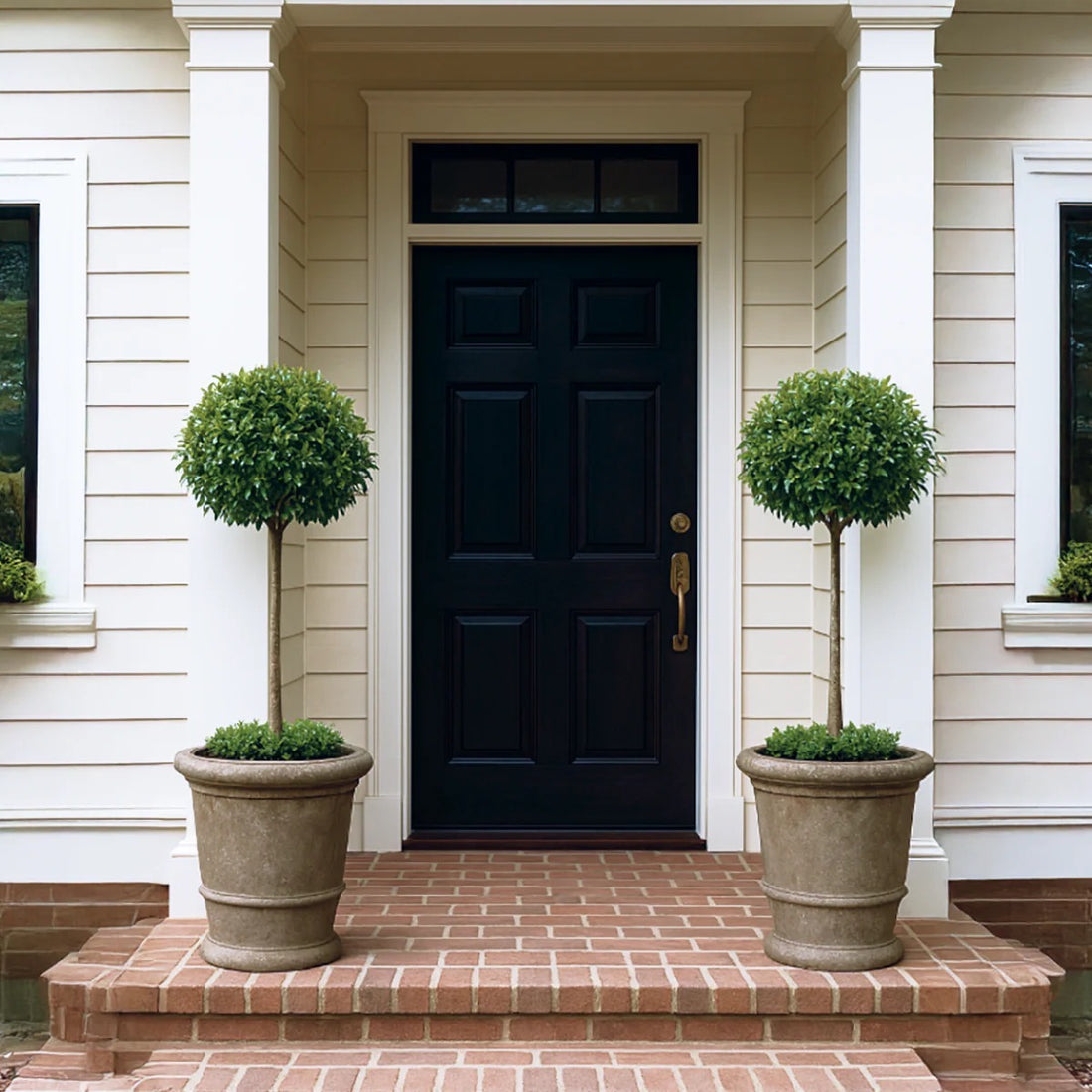 Topiary 1-Ball Carolina Sapphire Tree Form with decorative planters on a brick porch nursery pot 3gal